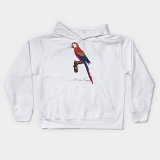 Scarlet Macaw Parrot / L' Ara Canga - Jacques Barraband 19th century Illustration Kids Hoodie